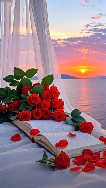 Beautiful Nature image