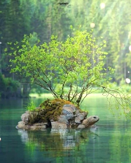 Beautiful Nature image