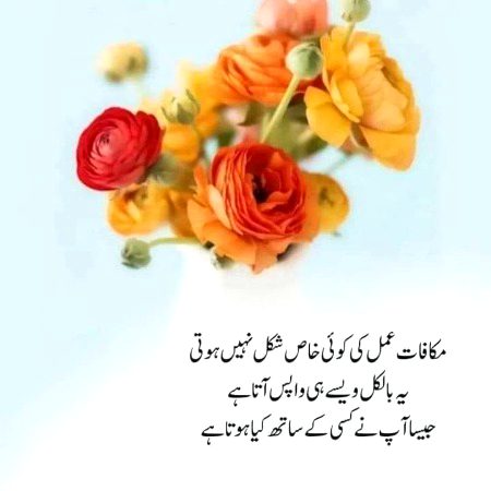 BILKUL✔