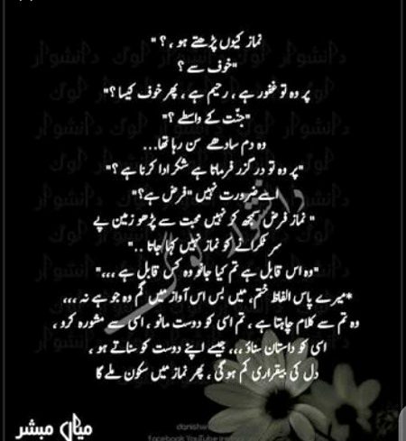 By Noor aina