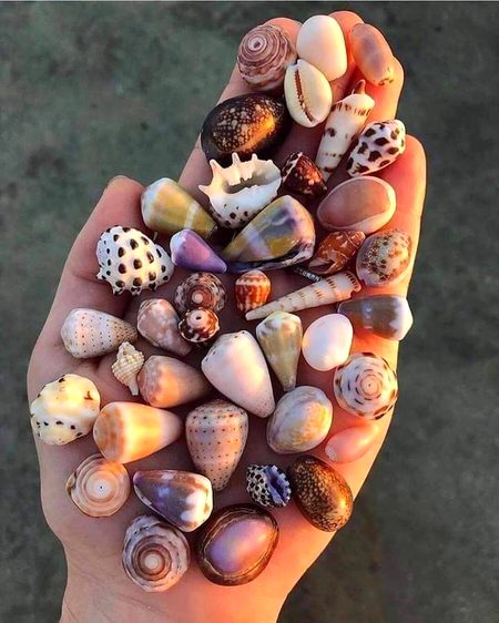 Amazing👍😱😱😱
