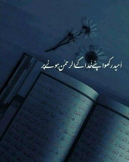 Motivational Quotes image