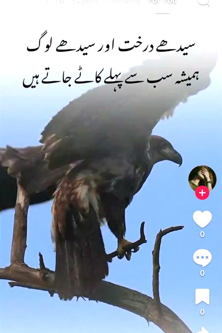 Memes & Satire image