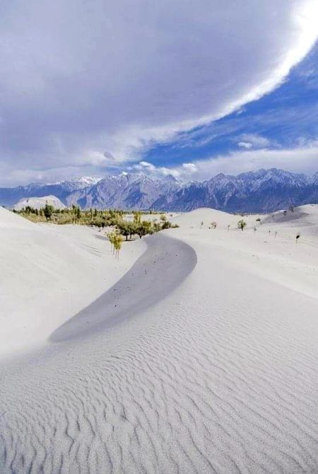 Beautiful Nature image