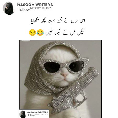 Memes & Satire image