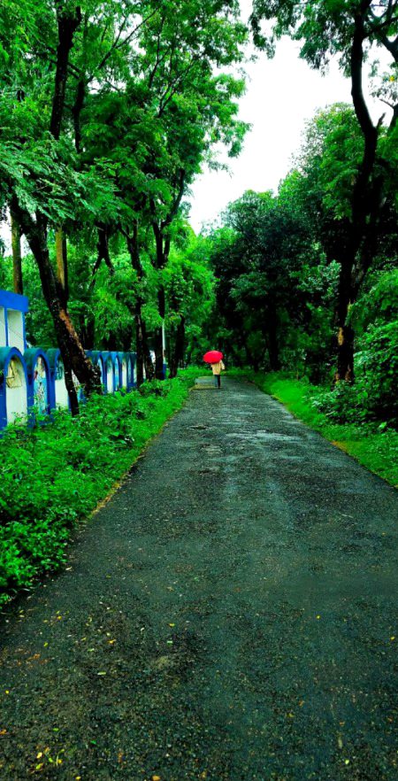 Beautiful Nature image