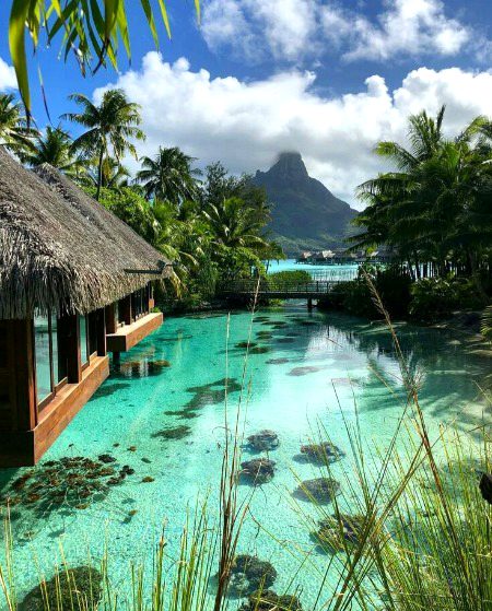 Beautiful Nature image