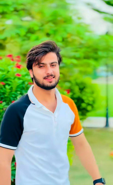 TikTok Stars image