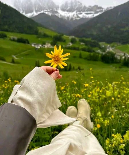 کچھ چیزیں پہلے جیسی نہیں رہی 
 جیسا کہ۔۔۔۔۔۔
رابطے ، انتظار ،تعلقات ، سکوں ، زندگی ، نیند ، خواہش ، بھروسہ ،💯