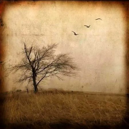 "زندگی ہے سخت بہت، سہل یہ سفر نہی ہے
ایک دشتِ بے کراں ہے دور تک شجر نہیں ہے۔🍁