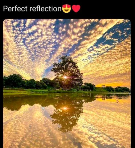 Beautiful Nature image