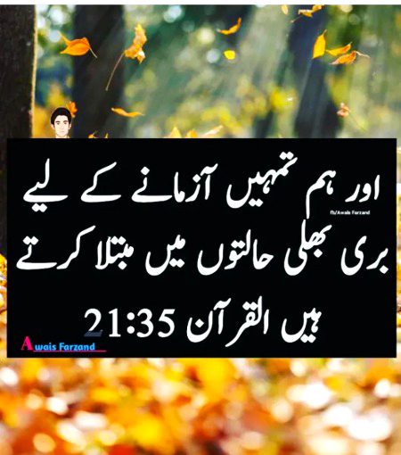 Islamic Quotes image