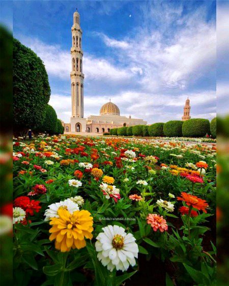 Beautiful Structures image