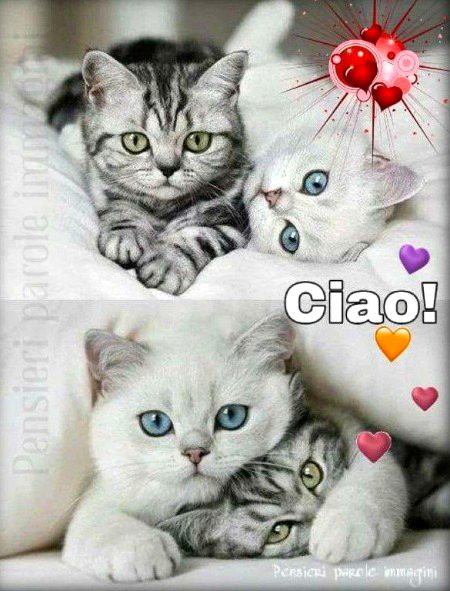 ....for me dn woc....