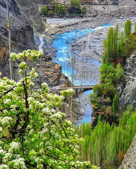 Beautiful Nature image