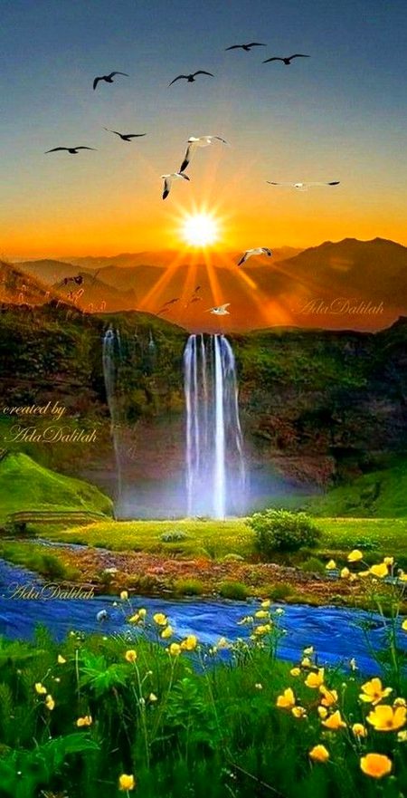 Damadam.pk