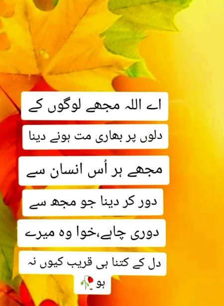 Insan tb harta h ..jb us k apny munafiq nklyn