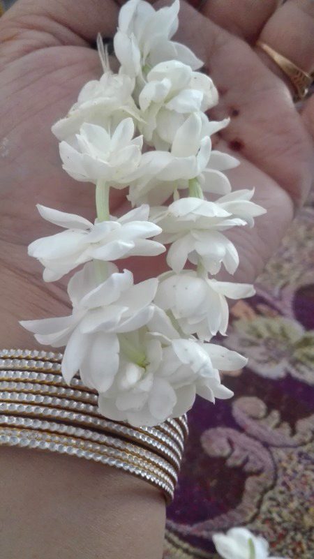 Beautiful Nature image