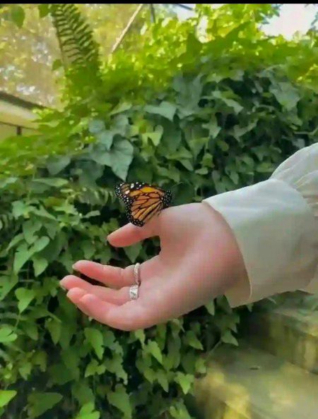 مجھے ان لوگوں سے ڈر لگتا ہے جنہیں اللّٰہ سے ڈر نہیں لگتا.✨🌸