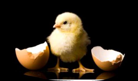 ٹوٹنے کا مطلب یہ نہیں کہ زندگی ختم ہو گئی، کبھی کبھی ٹوٹنے سے زندگی کا آغاز ہوتا ہے۔۔۔!!❤️