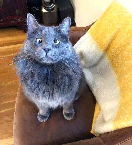 Beghair kise caption k iske masoomiat ko qabol Kiya jaye