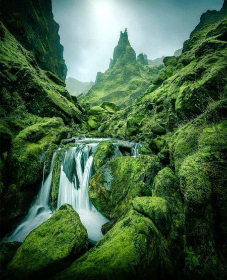 Beautiful Nature image