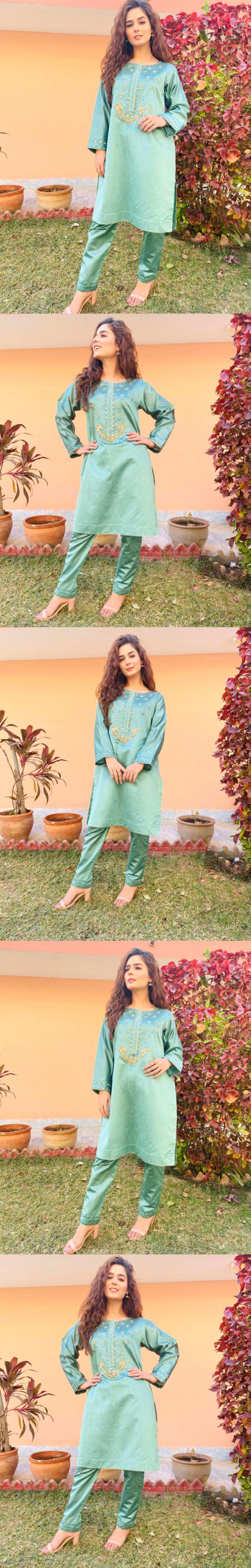 Pakistani Celebs image