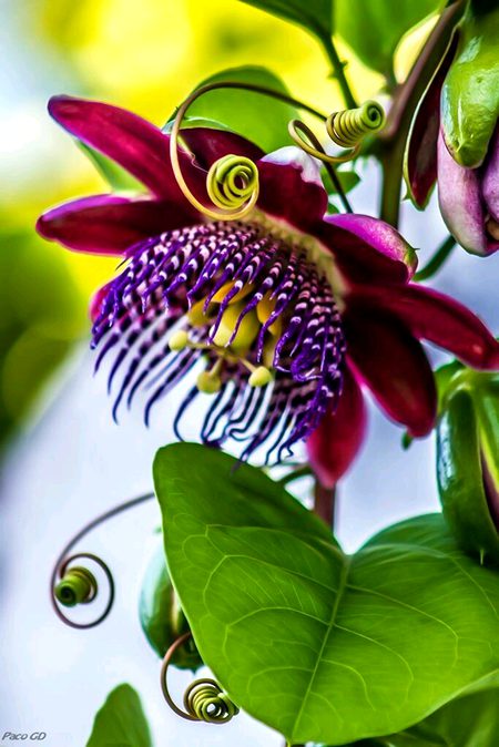 Beautiful Nature image