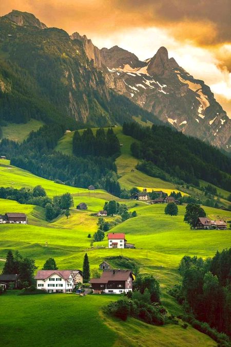 Beautiful Nature image