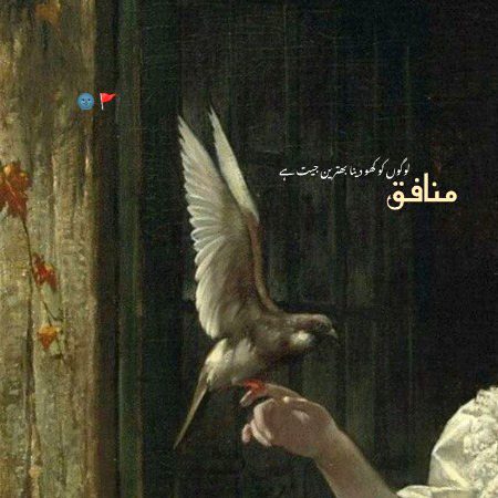 Attitude Poetry image