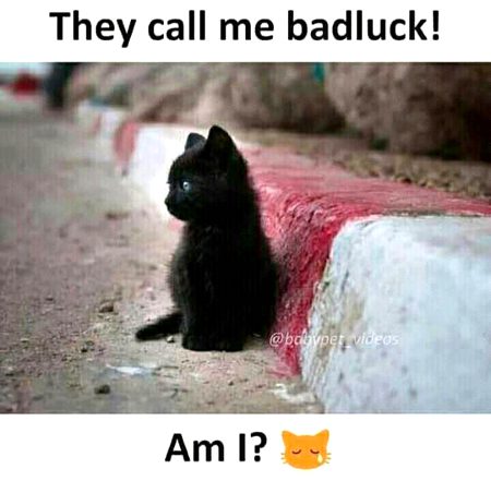 not badluck.. Hum muslim bhi hindu ki tarah ghumara or is rasam pe yakeen rakhte hai humhe deen ki kumi hai... aur kuj nahi ullu ko bhi bura samjte hai sari baaten hinduon wali jis ka koi islam se taluk nahi... ghumra Muslim log..!