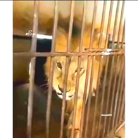 𝚃𝙼𝚁𝙰 𝙱𝙰𝙿 𝙰𝙶𝙸𝚈𝙰🤭🤞