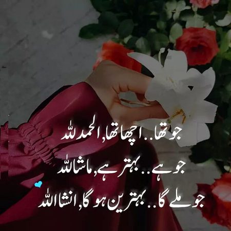 بیشک🌸 شکر کرنے میں ہی🌸 انسان کی 🌸کامیابی ہے🌸