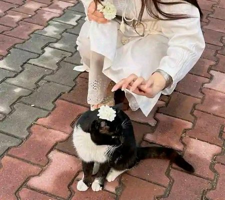 "Never regret having a good heart, all good things come back and multiply."🫰