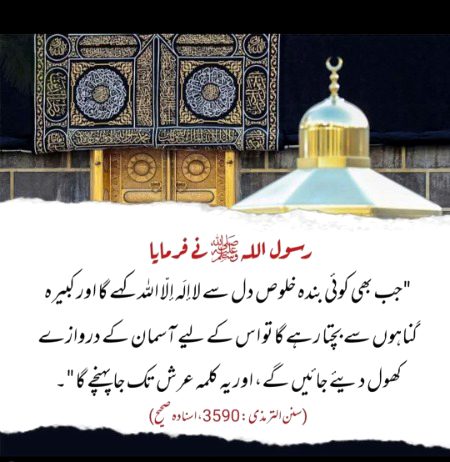 Islamic Quotes image