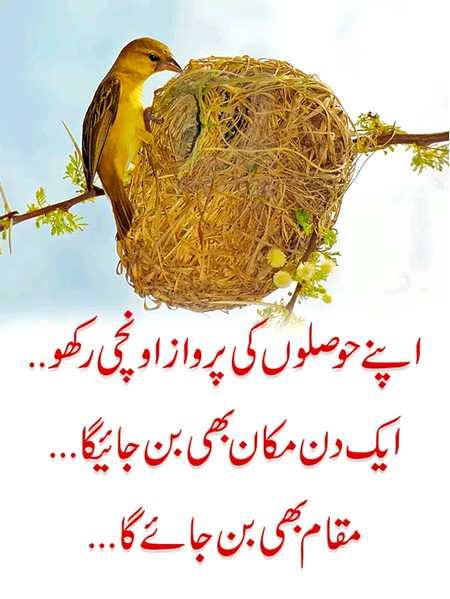 Motivational Quotes image