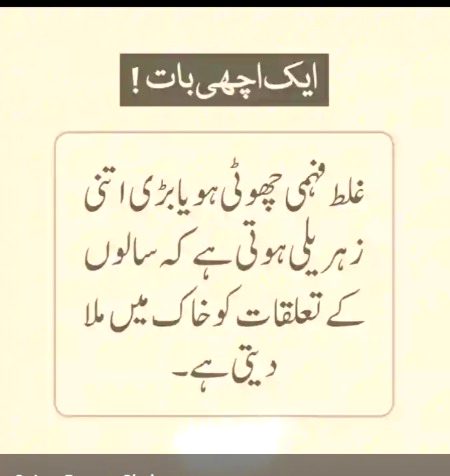 Glt fehmi jse b ho bht nuqsan dy chz ha