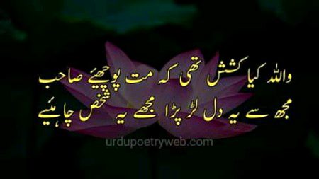 Romantic Poetry image