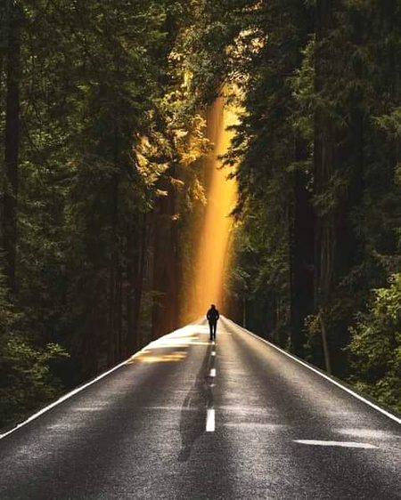 Beautiful Nature image