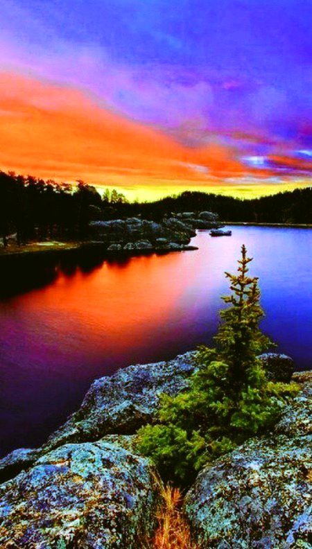 Beautiful Nature image