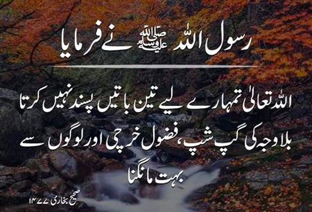 Islamic Quotes image