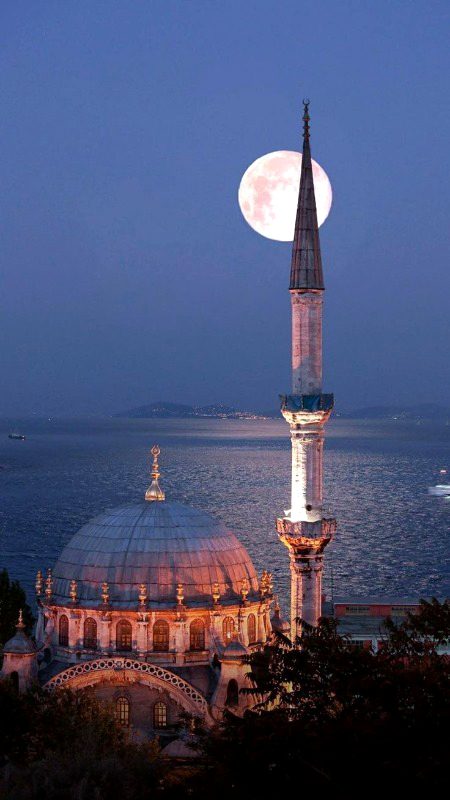 Beautiful Structures image