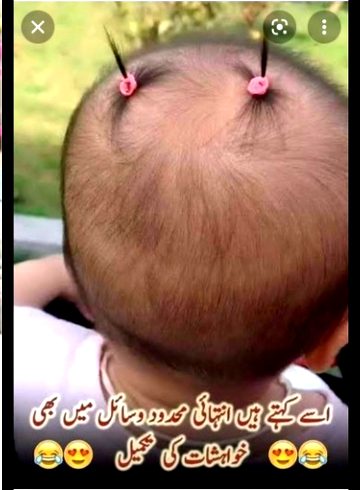 Memes & Satire image