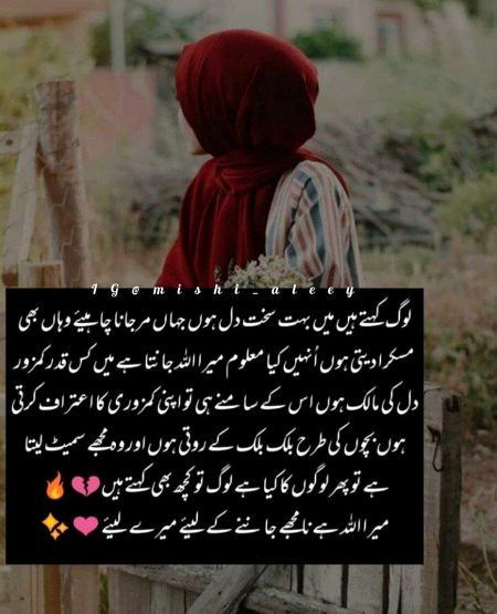 Islamic Quotes image