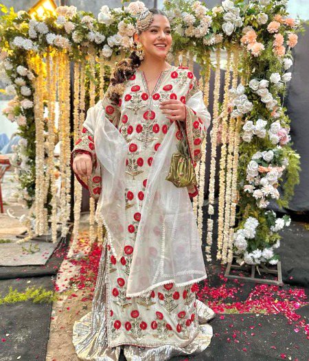 Pakistani Celebs image