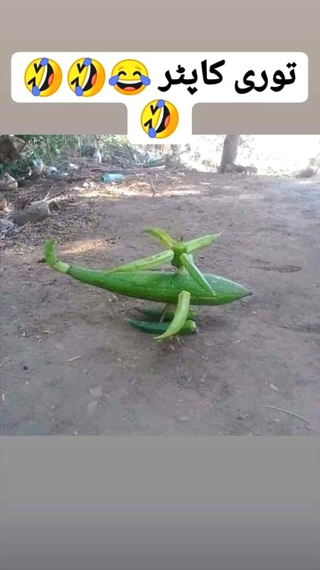 Memes & Satire image