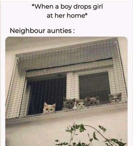 Aankhen pharr k dekhne lg jati hen