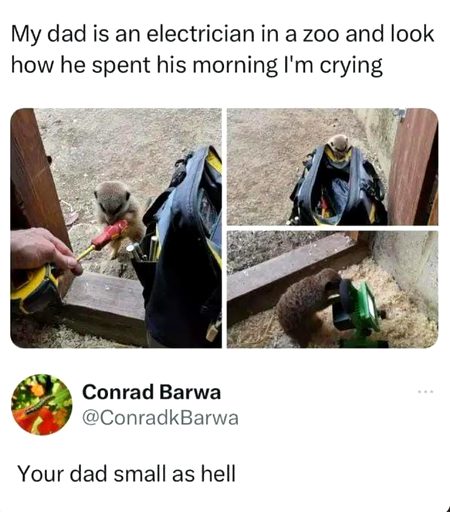 Don’t ask even my DNA Don’t even agree with me