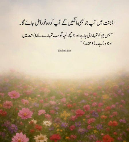 🌺 Jannat 🌺