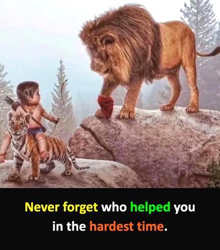 Life Advice image